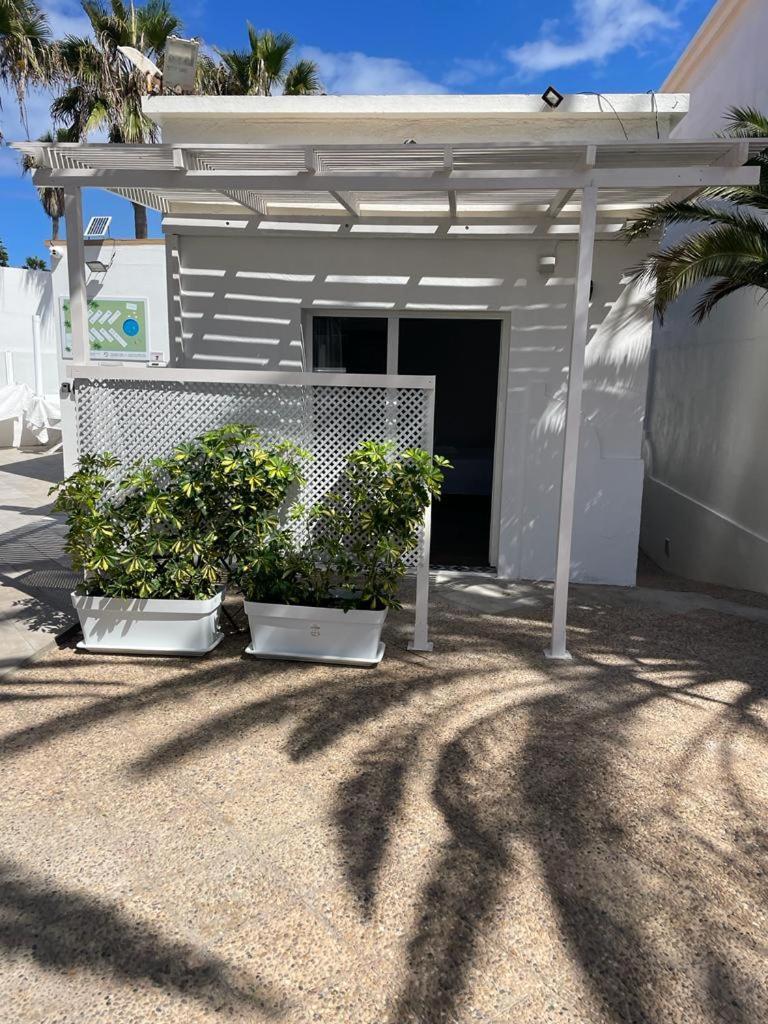 Apartamentos Punta Elena Beach Corralejo Eksteriør bilde
