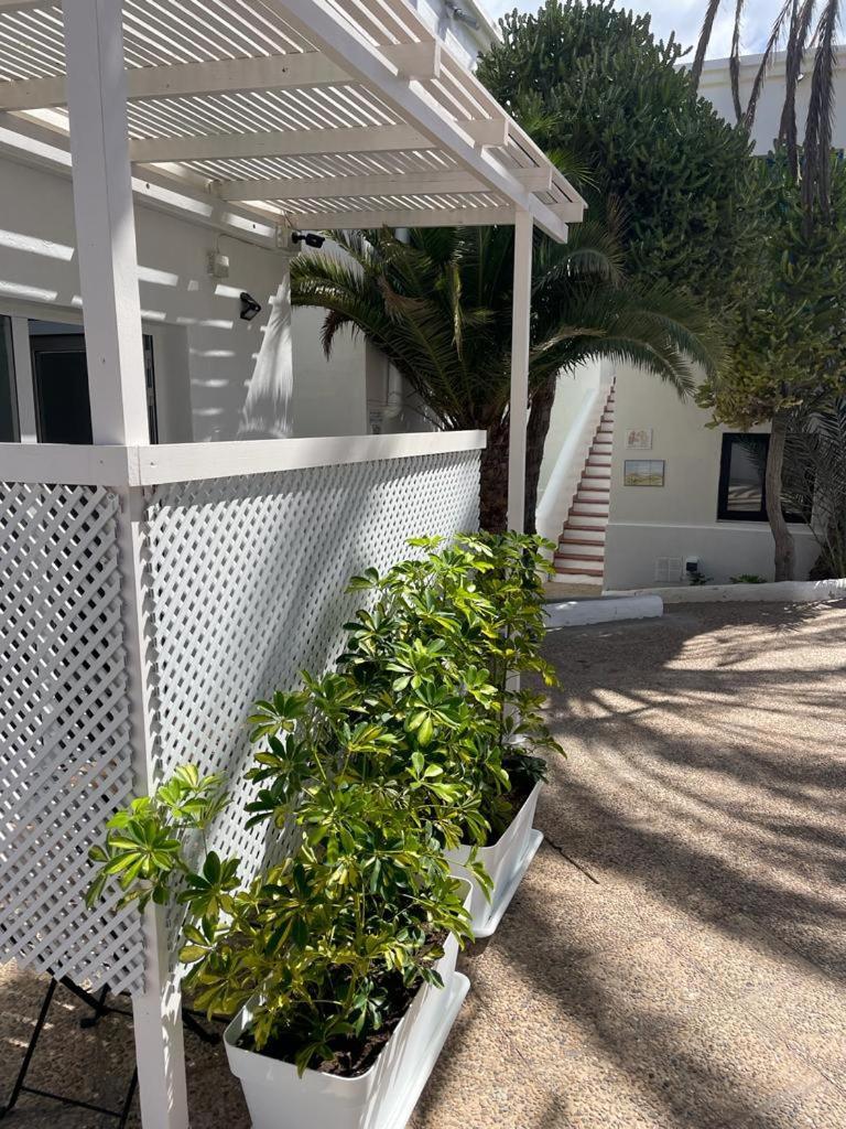 Apartamentos Punta Elena Beach Corralejo Eksteriør bilde
